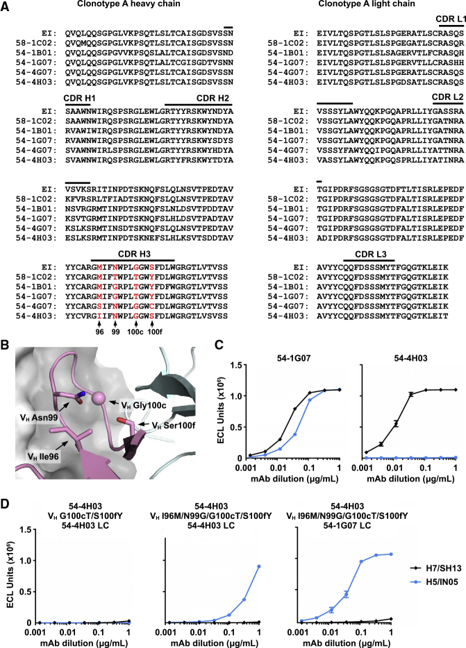 Figure 6