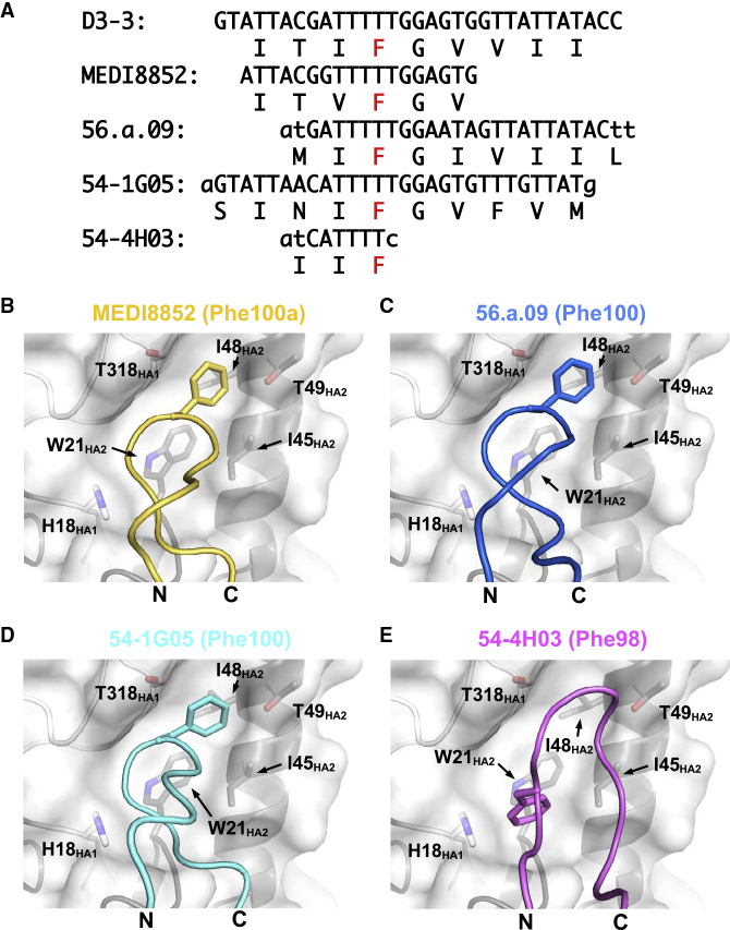 Figure 5