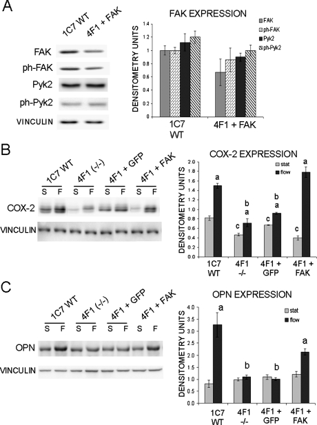 FIG. 7