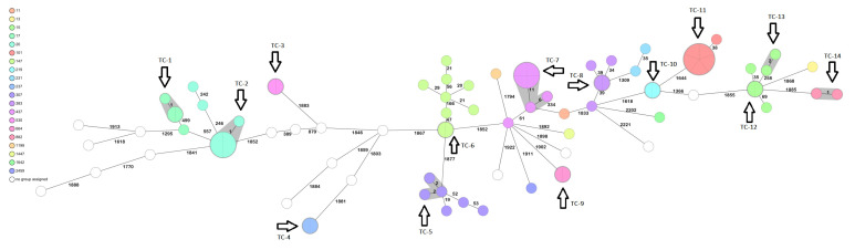 Figure 2