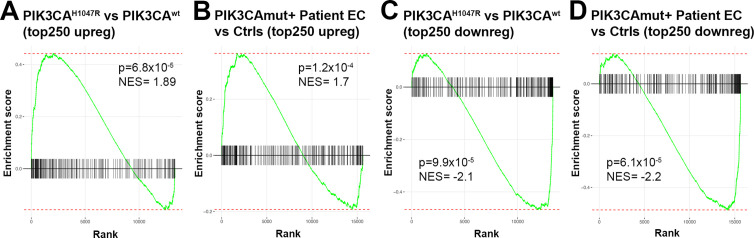 Figure 3—figure supplement 2.