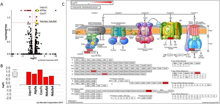 Fig 6