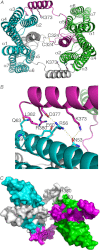 FIGURE 2.