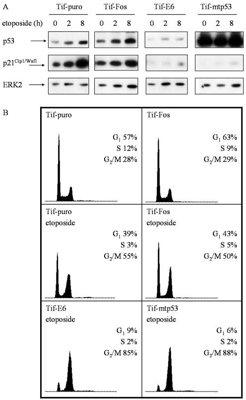 FIG. 5.