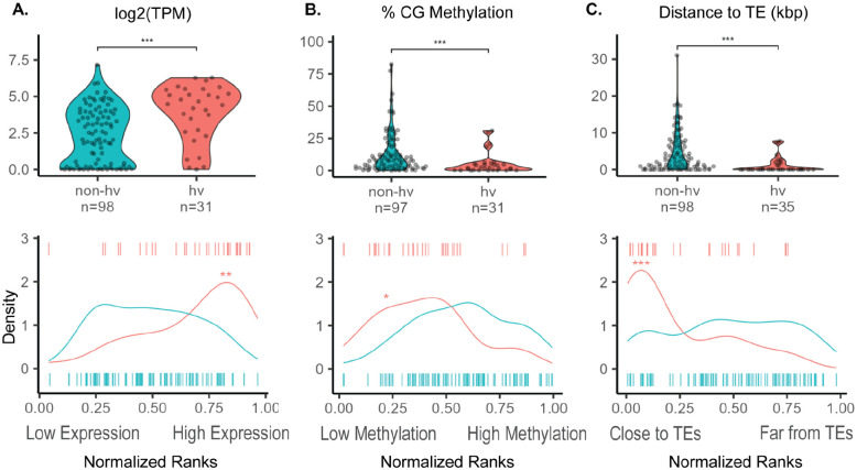 Figure 2: