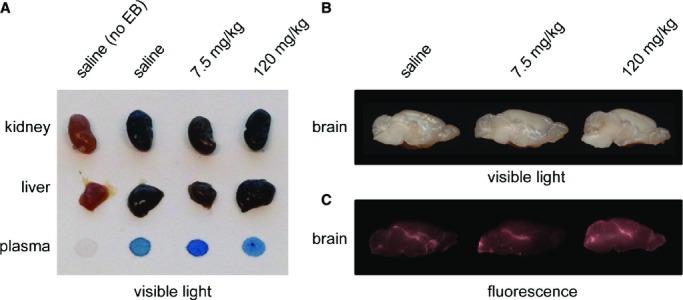 Figure 9.