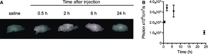 Figure 3.