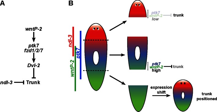 Figure 7.