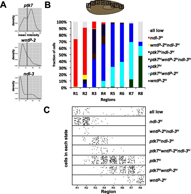 Figure 4—figure supplement 1.