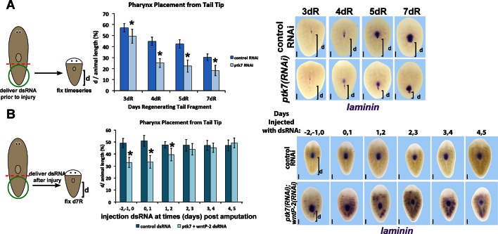 Figure 6—figure supplement 2.