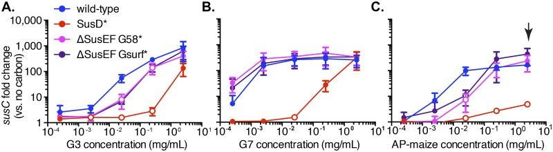 FIG 3 