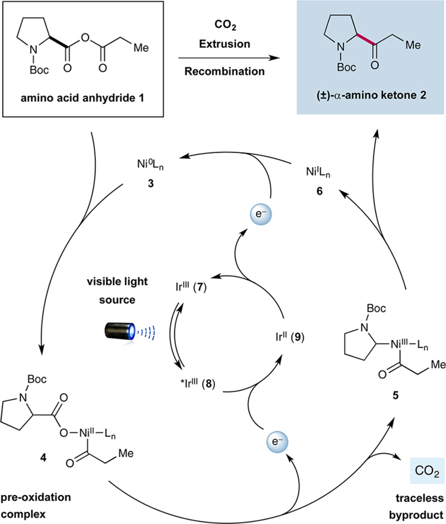 Scheme 1