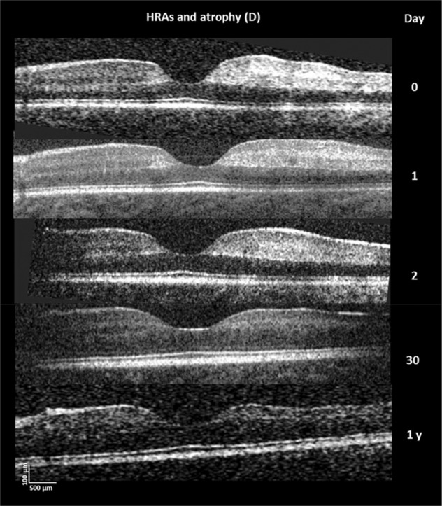 Fig. 3