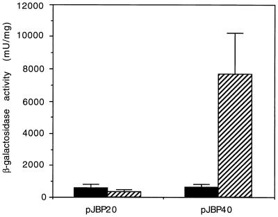 FIG. 7