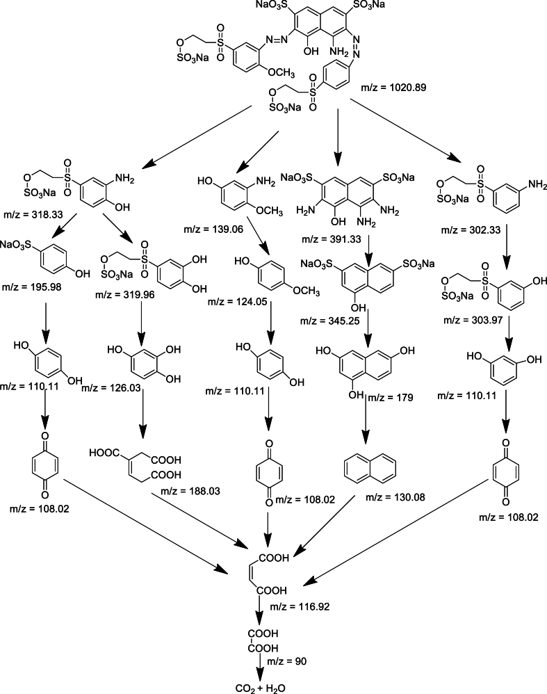 Fig. 17