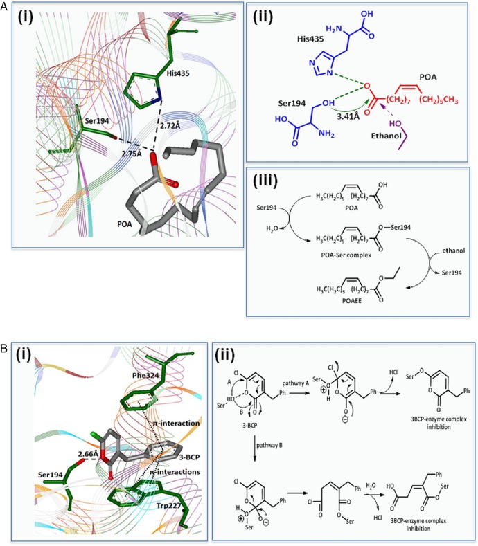 Figure 6