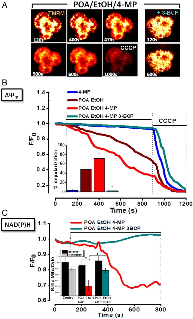 Figure 2