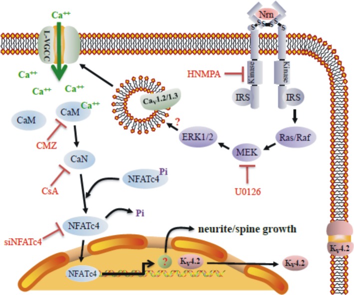 Figure 11