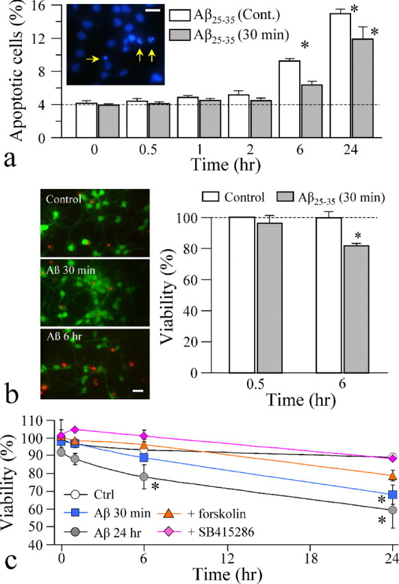 Figure 7.