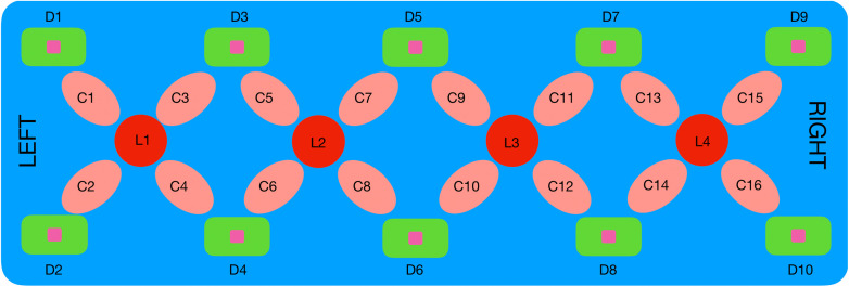 Fig. 1