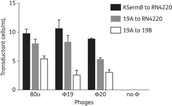 Figure 4.