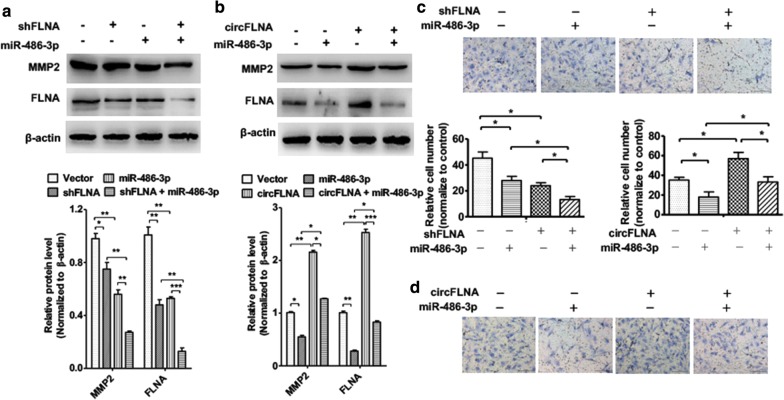 Fig. 7