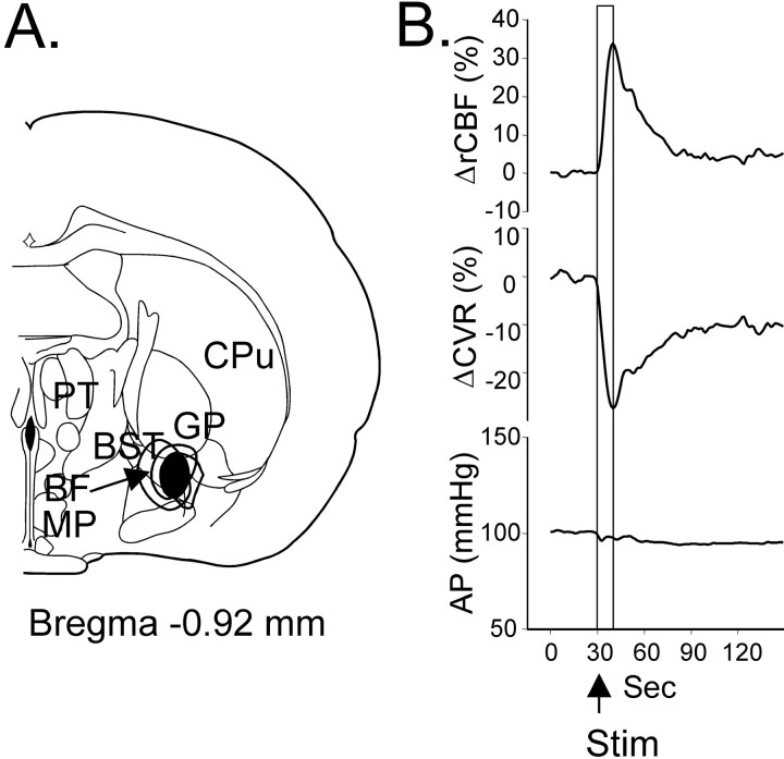 Fig. 8.