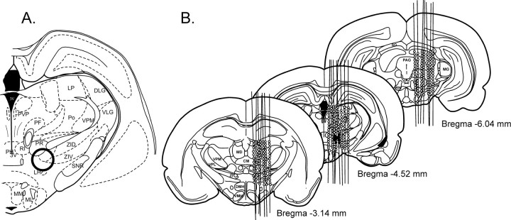 Fig. 1.