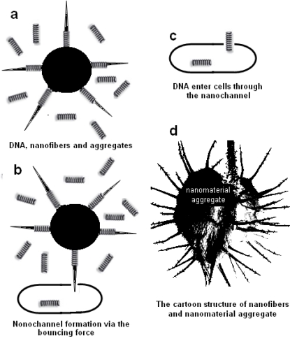 Figure 5.