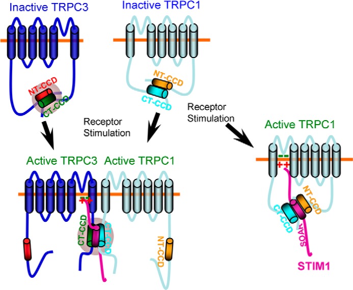 FIGURE 7.