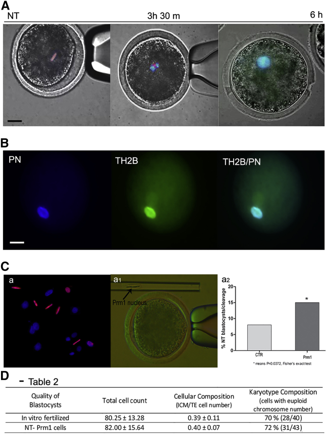 Figure 3