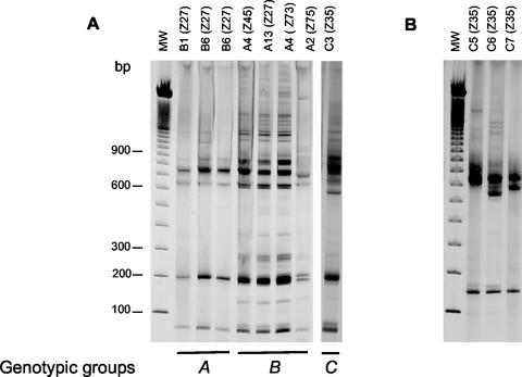 FIG. 2.