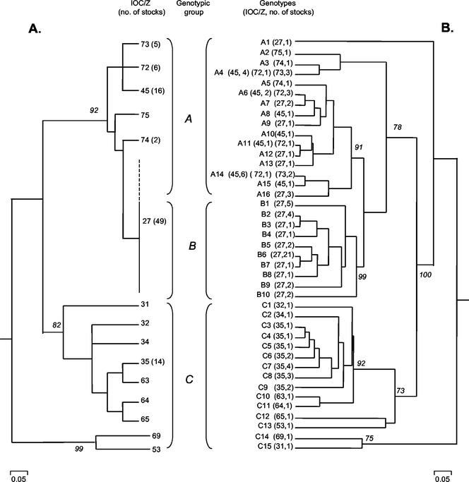 FIG. 1.