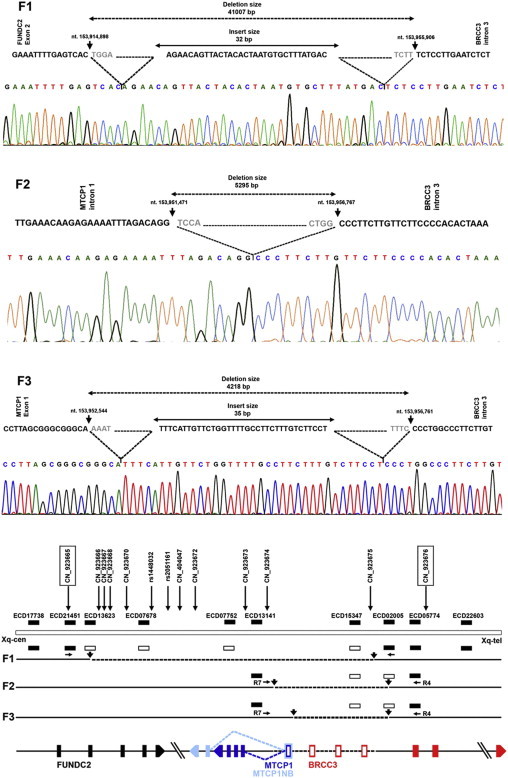 Figure 4