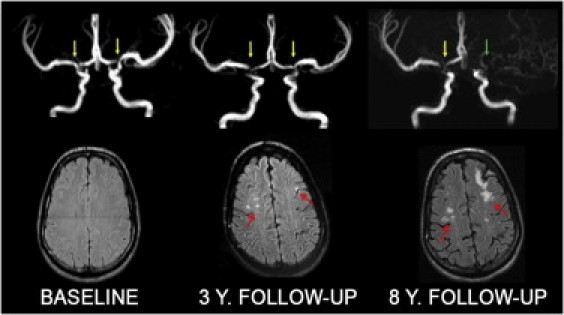 Figure 3