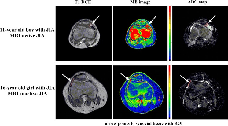 Fig. 3