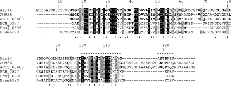 Fig 10