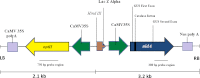 Fig. 1
