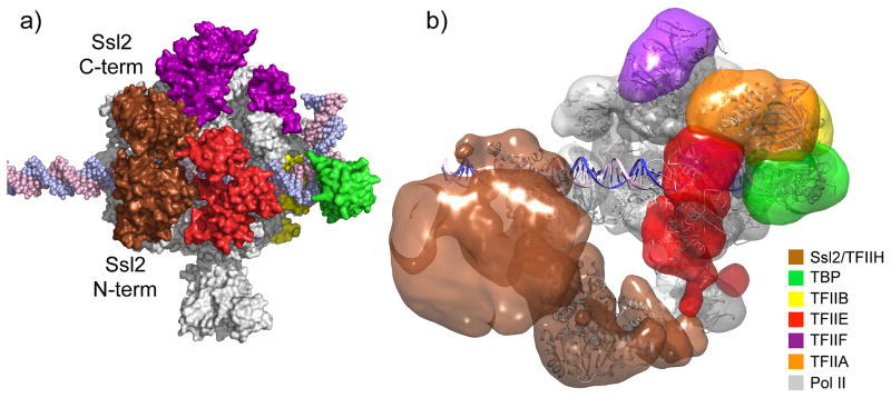 Fig. 3