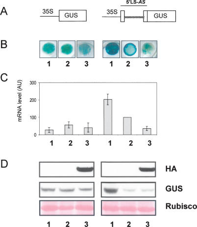 Figure 5.