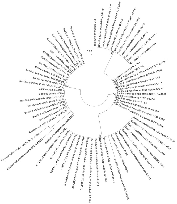 Figure 7