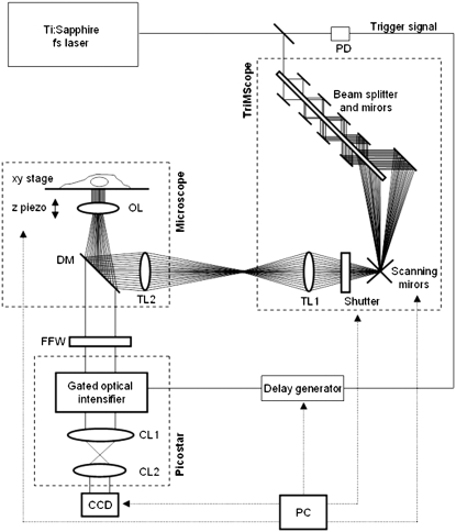 FIGURE 3