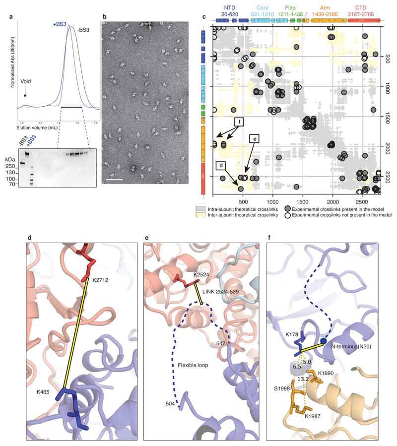 Extended Data Figure 4