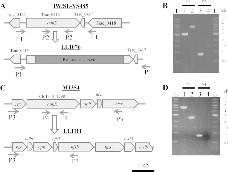 FIG 1