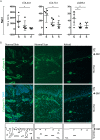 Supplementary Fig. S3