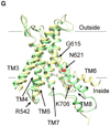 Figure 1G.
