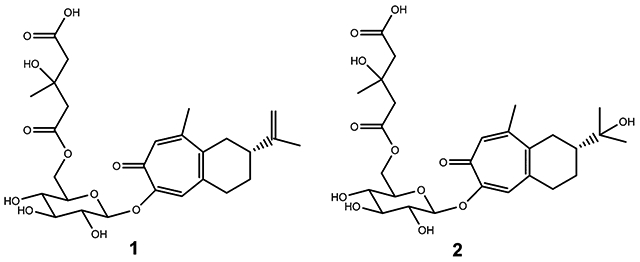 graphic file with name nihms-1644704-f0001.jpg