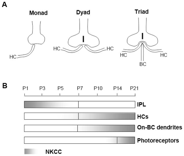 Fig. 10