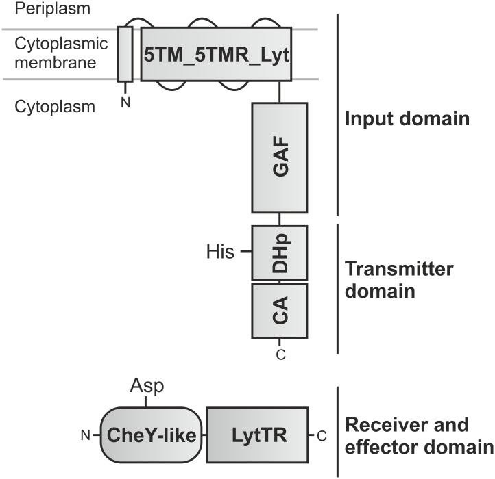 Fig 1