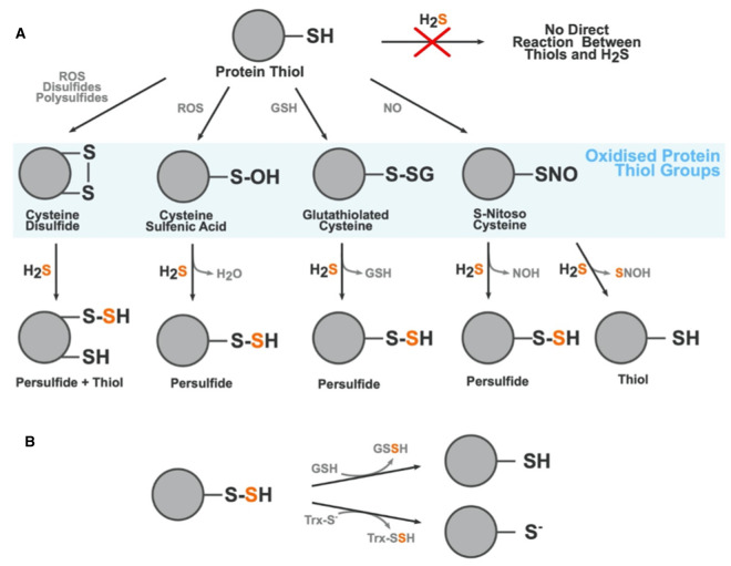 Figure 2.